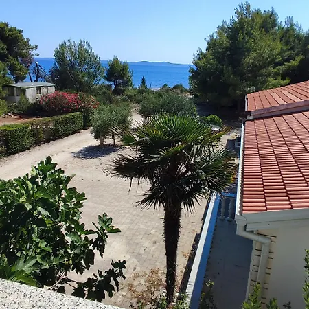 Delfin Apartman