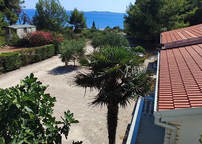 Delfin Apartman