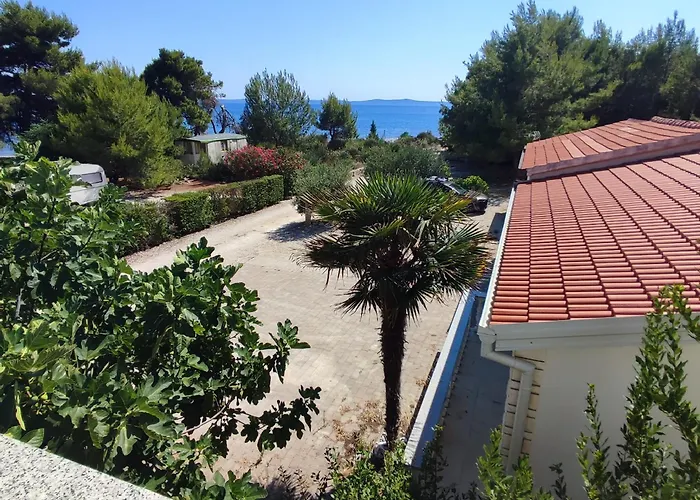 아파트 Delfin 비르