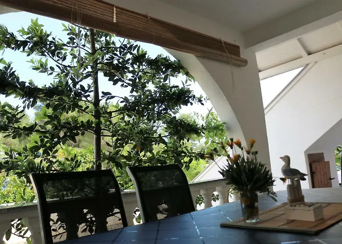 Delfin Apartman Vir