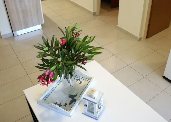 Delfin Apartman *