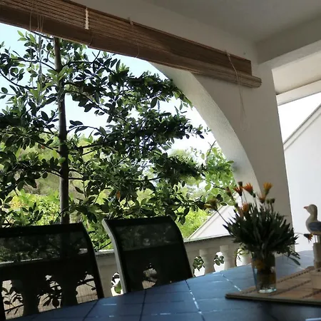 Delfin Apartman Vir