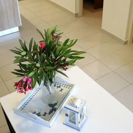 Delfin Apartman *