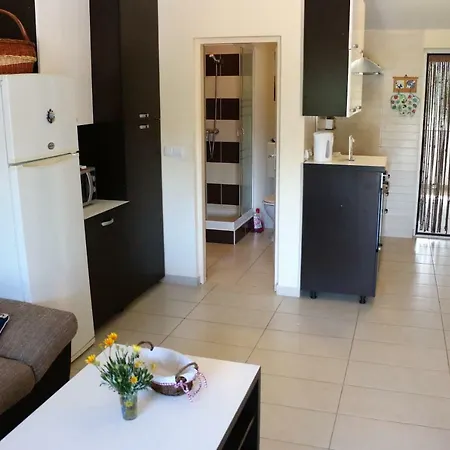 Delfin Apartment *